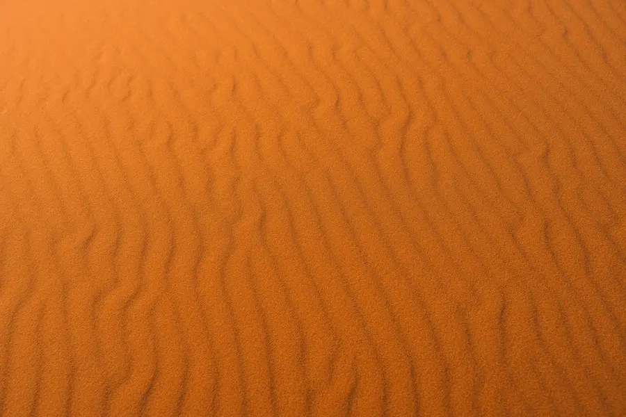 Golden Desert Waves — 300-piece jigsaw puzzle
