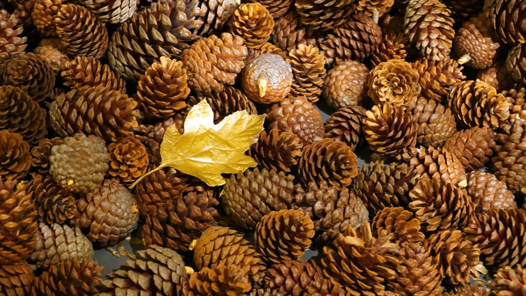 Golden Leaf Among Cones — 300-piece jigsaw puzzle