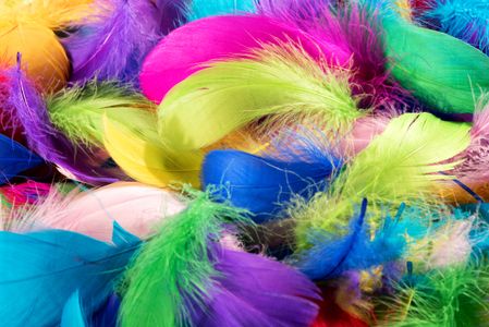 Vibrant Feather Medley — 300-piece jigsaw puzzle