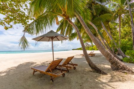 Tropical Beach Retreat — 64-piece jigsaw puzzle
