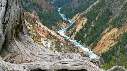 River Through Canyon — 300-piece jigsaw puzzle