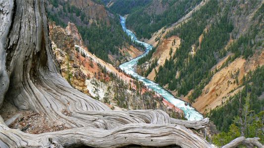 River Through Canyon — 300-piece jigsaw puzzle
