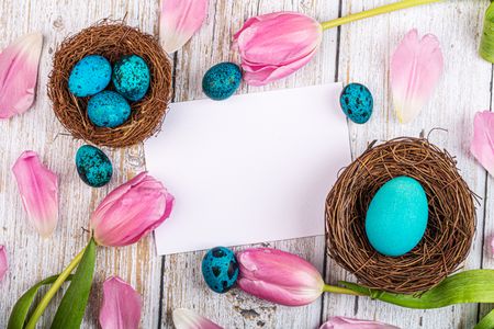 Spring Nest Harmony — 200-piece jigsaw puzzle