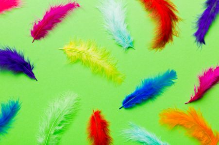 Colorful Feathers Display — 200-piece jigsaw puzzle