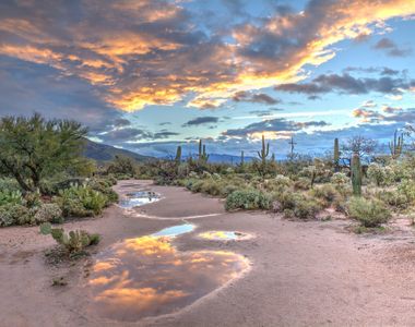 Desert Reflection at Sunset — 150-piece jigsaw puzzle