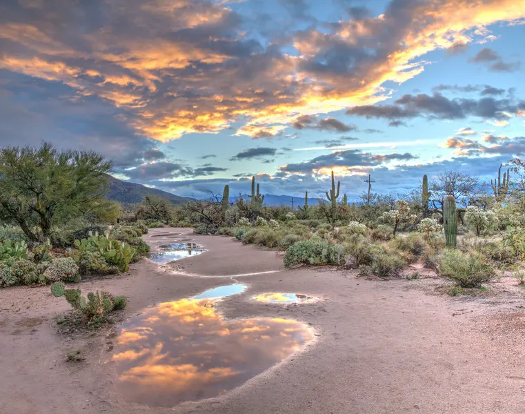 Desert Reflection at Sunset — 150-piece jigsaw puzzle