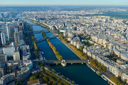 Aerial View of Paris — 200-piece jigsaw puzzle