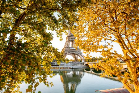 Golden Autumn in Paris — 200-piece jigsaw puzzle
