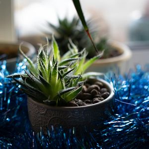 Succulent in Blue Tinsel — 200-piece jigsaw puzzle