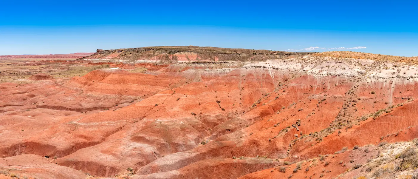 Painted Desert Panorama — 100-piece jigsaw puzzle
