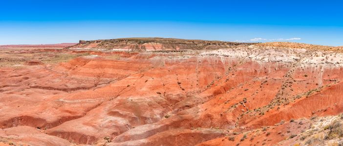 Painted Desert Panorama — 100-piece jigsaw puzzle