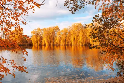 Golden Autumn Reflections — 150-piece jigsaw puzzle
