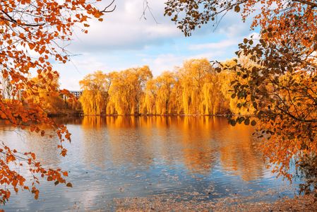 Golden Autumn Reflections — 150-piece jigsaw puzzle