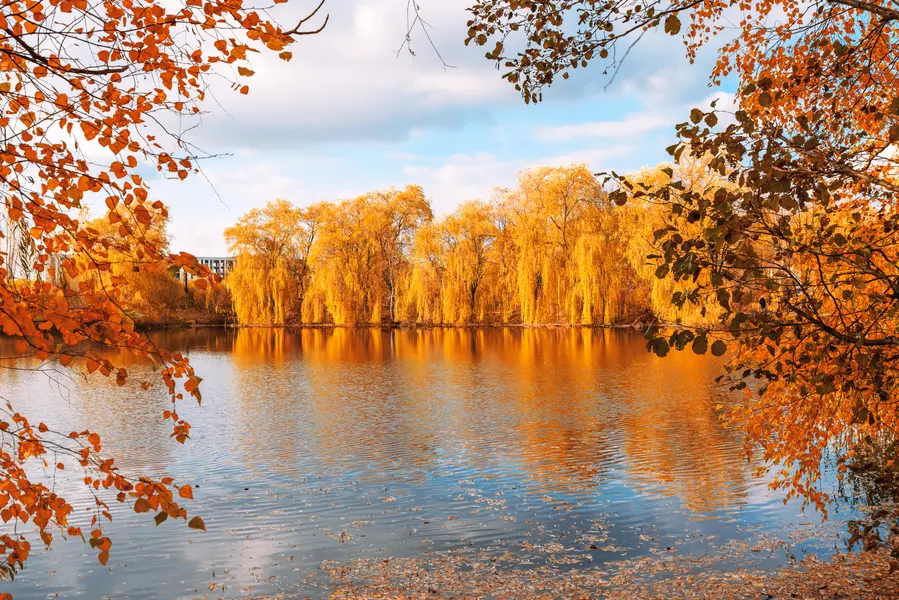Golden Autumn Reflections — 150-piece jigsaw puzzle