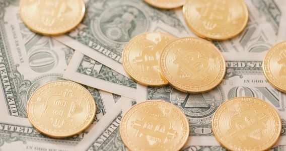 Cryptocurrency and Cash — 150-piece jigsaw puzzle