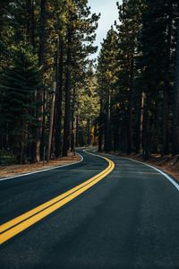 Winding Forest Road — 500-piece jigsaw puzzle