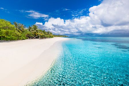 Paradise Beachscape — 150-piece jigsaw puzzle