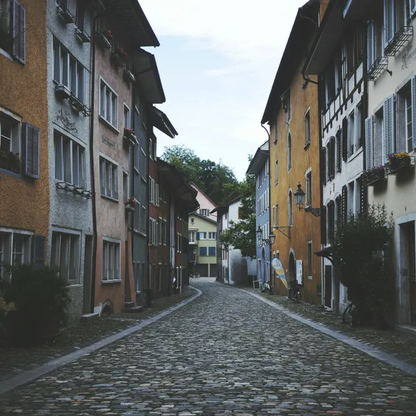 Affascinante strada acciottolata — puzzle da 300 pezzi