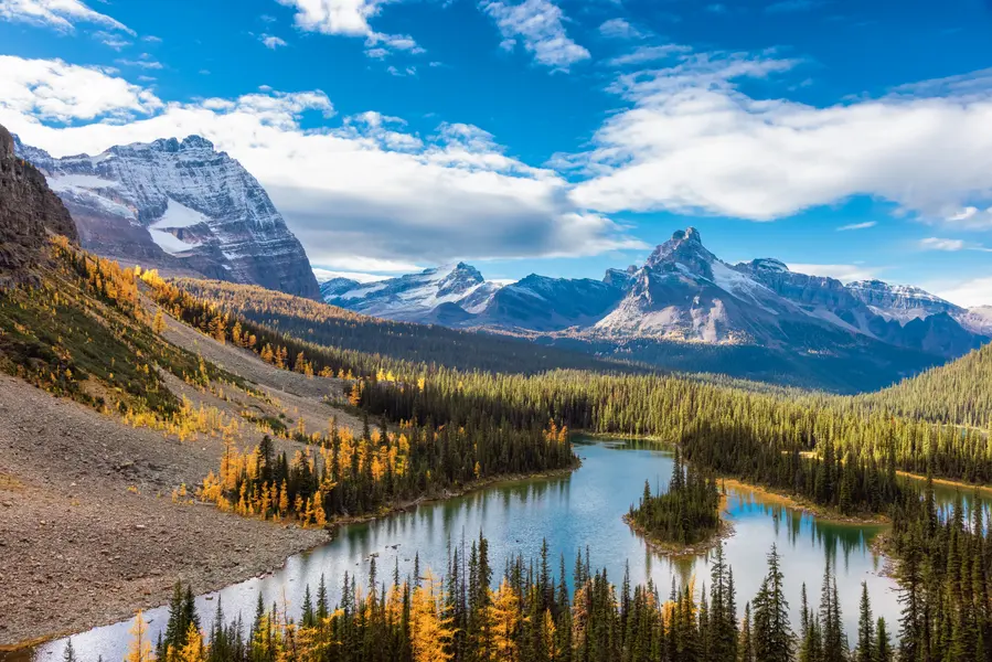 Majestic Mountain Valley — 300-piece jigsaw puzzle