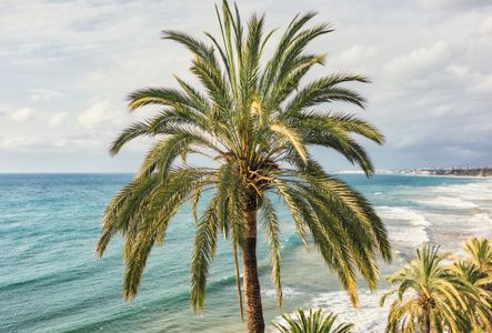 Tropical Coastal View — 64-piece jigsaw puzzle