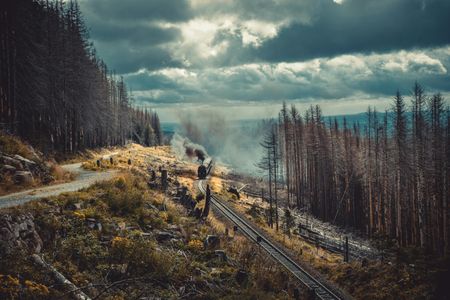 Steam Train Through Forest — 300-piece jigsaw puzzle