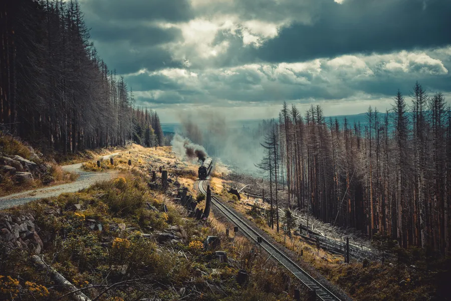 Steam Train Through Forest — 300-piece jigsaw puzzle