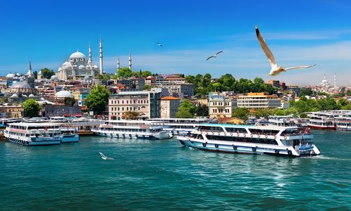 Vibrant Istanbul Harbor — 100-piece jigsaw puzzle