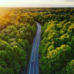 Sunlit Forest Drive — 400-piece jigsaw puzzle