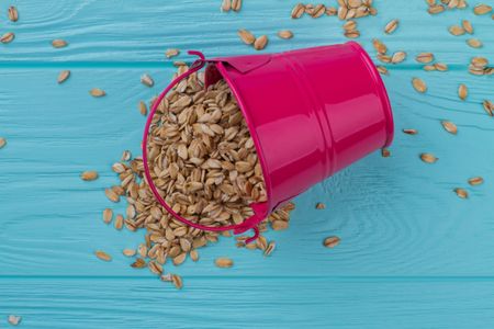Spilled Grains — 100-piece jigsaw puzzle