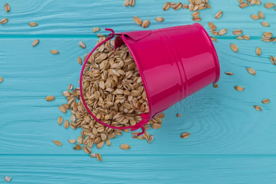 Spilled Grains — 100-piece jigsaw puzzle