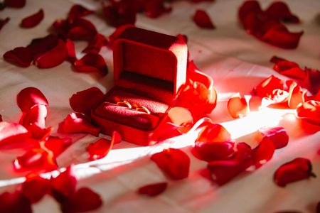 Romantic Proposal Moment — 100-piece jigsaw puzzle