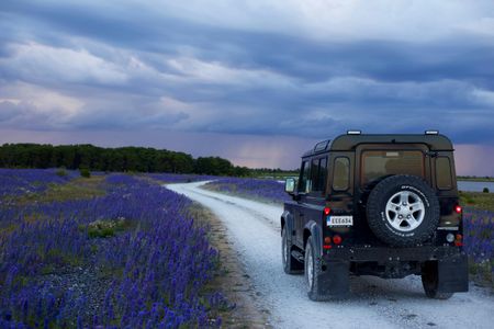 Journey Through Lavender — 64-piece jigsaw puzzle