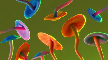Neon Mushroom Wonderland — 300-piece jigsaw puzzle
