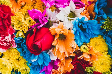 Vibrant Floral Symphony — 200-piece jigsaw puzzle