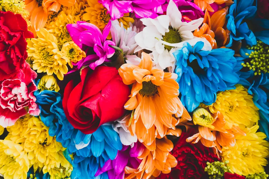 Vibrant Floral Symphony — 200-piece jigsaw puzzle