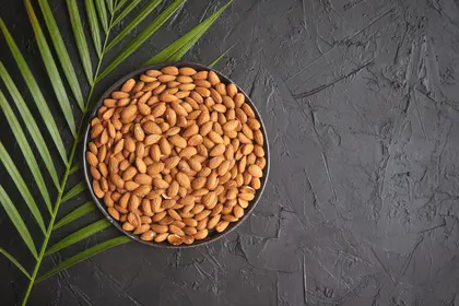 Almonds on Slate — 200-piece jigsaw puzzle
