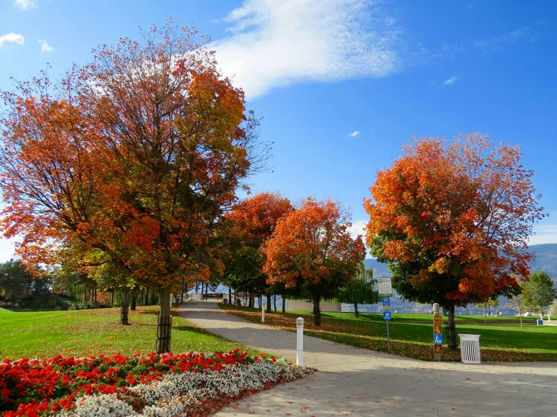 Autumn Pathway — 64-piece jigsaw puzzle