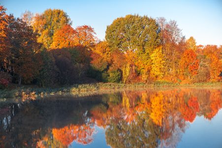 Autumn Reflections — 64-piece jigsaw puzzle