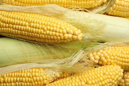 Golden Corn Bounty — 100-piece jigsaw puzzle