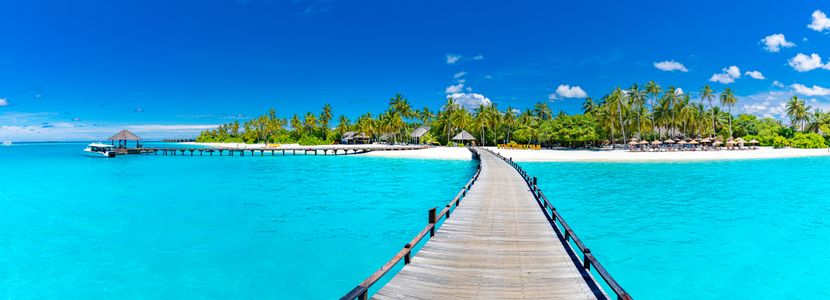 Tropical Paradise Escape — 400-piece jigsaw puzzle