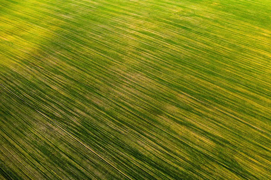 Aerial Green Fields — 100-piece jigsaw puzzle
