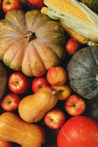 Autumn Harvest Bounty — 100-piece jigsaw puzzle