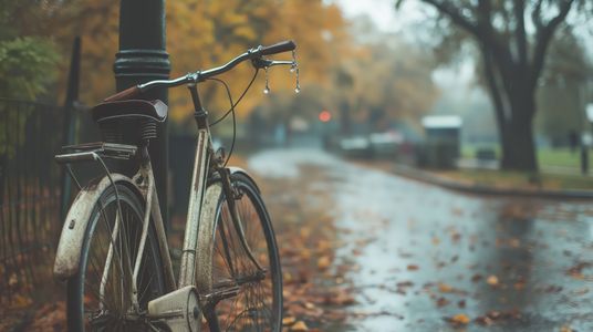 Autumn Bicycle Dream — 300-piece jigsaw puzzle