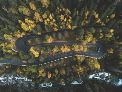 Winding Forest Road — 400-piece jigsaw puzzle