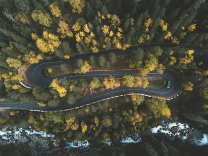 Winding Forest Road — 400-piece jigsaw puzzle