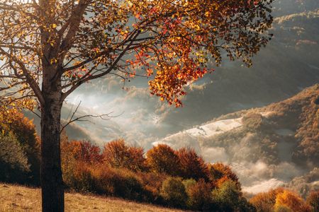 Autumn Valley View — 200-piece jigsaw puzzle