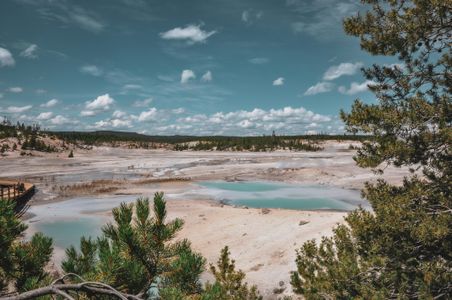 Geyser Basin Serenity — 300-piece jigsaw puzzle