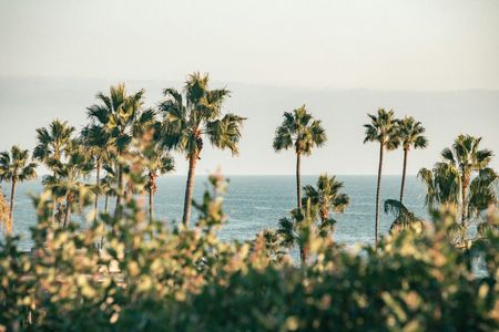 Coastal Palm Serenity — 300-piece jigsaw puzzle