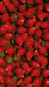 Abundant Strawberries — 150-piece jigsaw puzzle