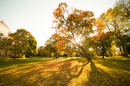 Autumn Sunlit Park — 300-piece jigsaw puzzle